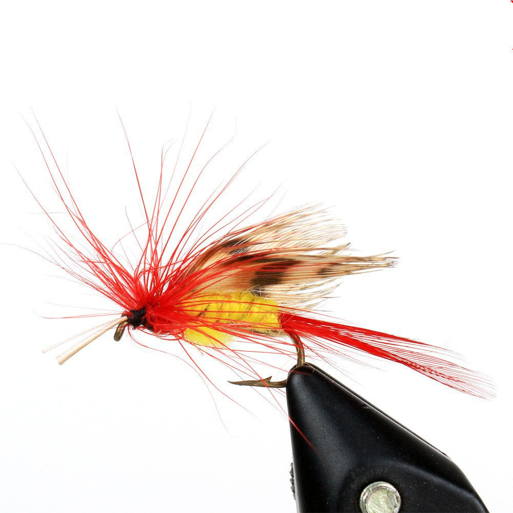 d556b73070d289dada72652cdc724ef2
